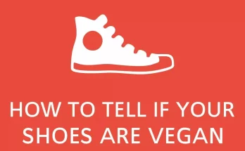 How to tell if your shoes are vegan