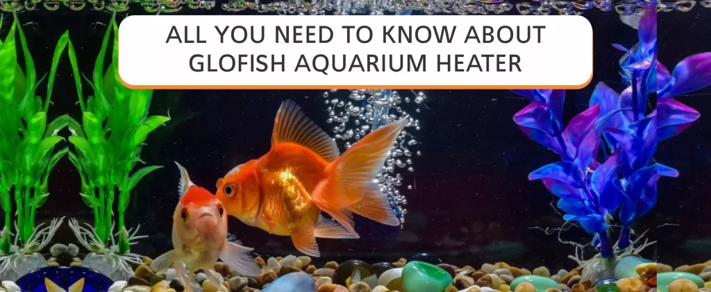 All you need to know about GloFish aquarium heater 2023