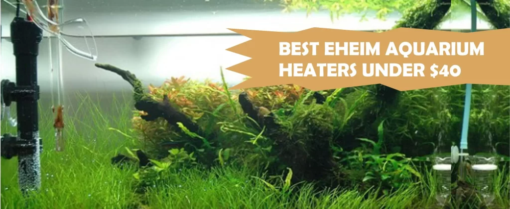 Best Eheim aquarium heaters under $40 