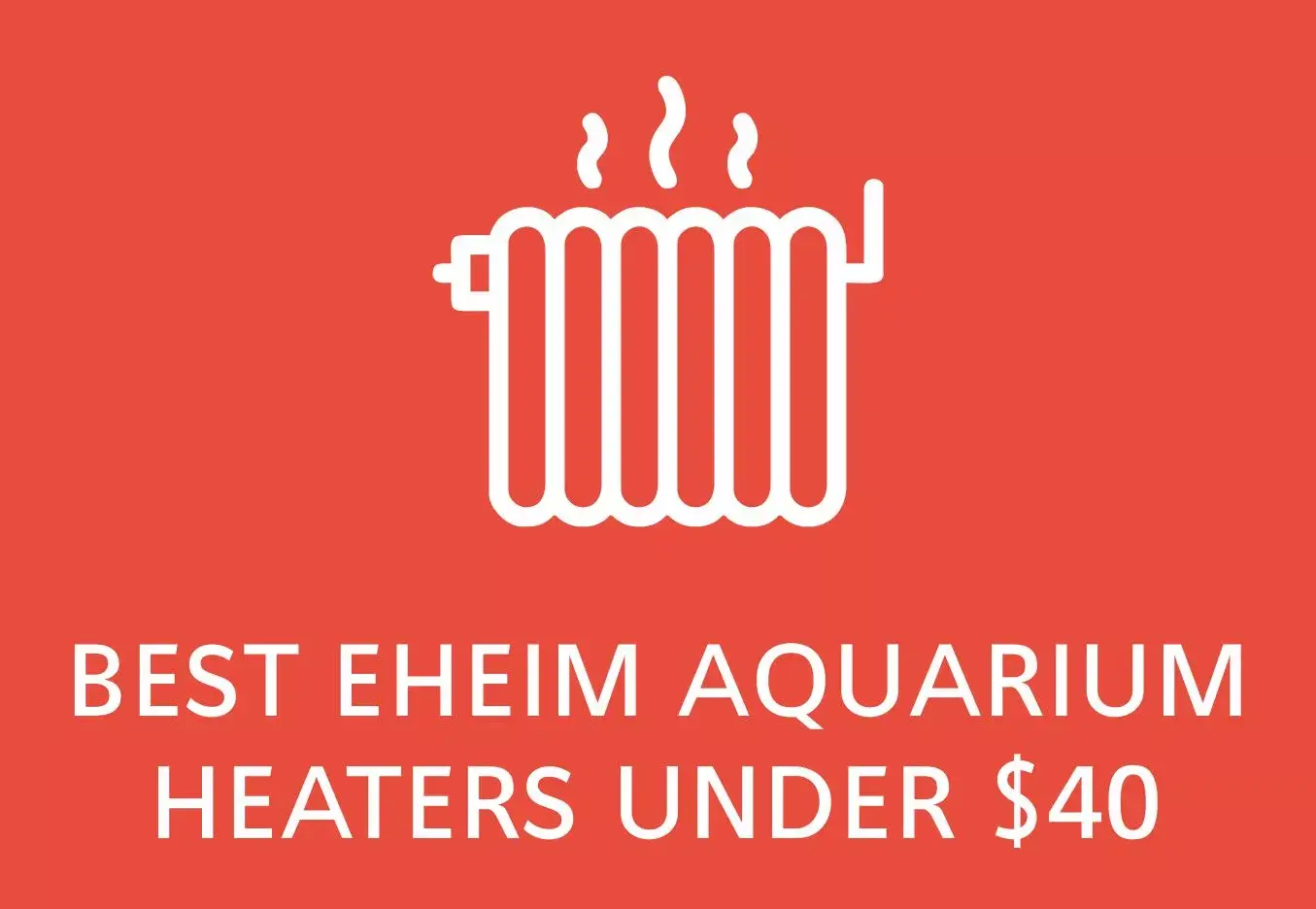 Best Eheim aquarium heaters under $40 