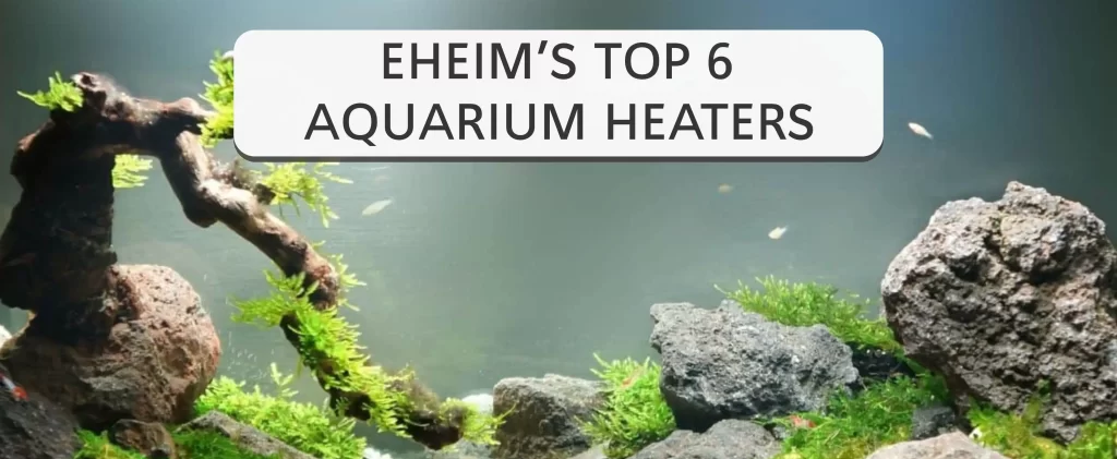 Eheim’s top 6 aquarium heaters 2023