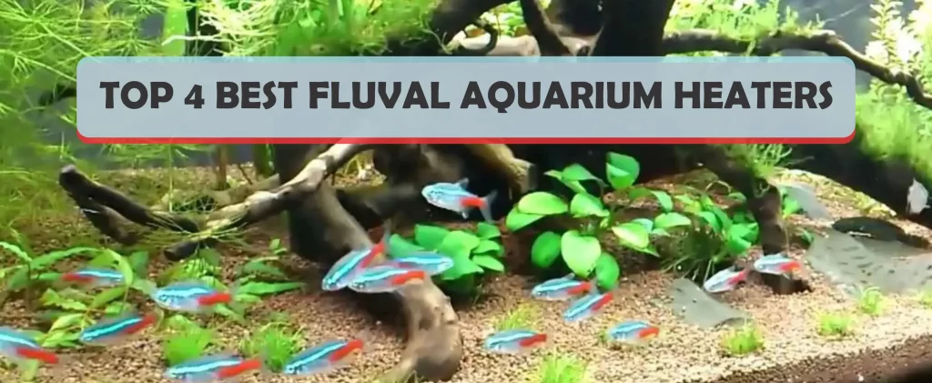Best Fluval aquarium heaters