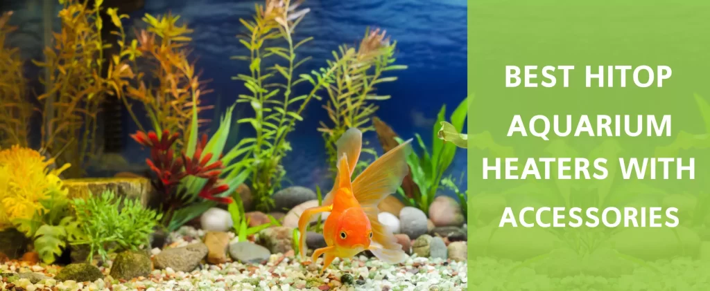 Best Hitop aquarium heaters 