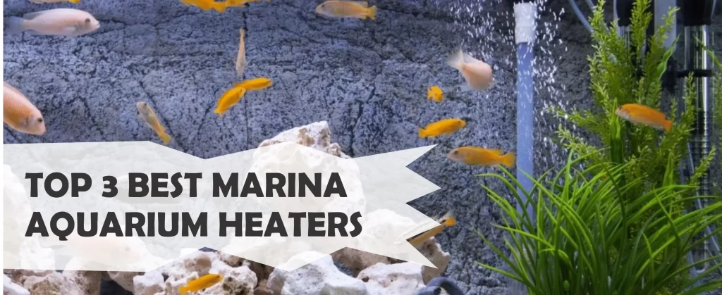 Best marina aquarium heaters 