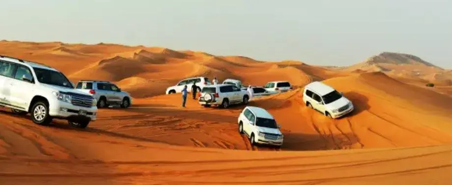 Desert Safari & Dhow Cruise combo tour
